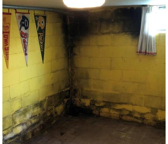 Yellow wall with mold