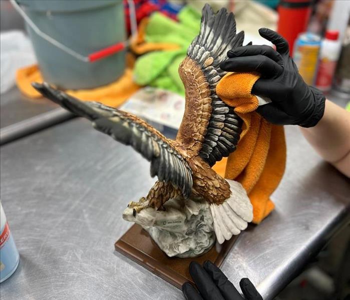 Bald eagle being cleaned with orange rag 